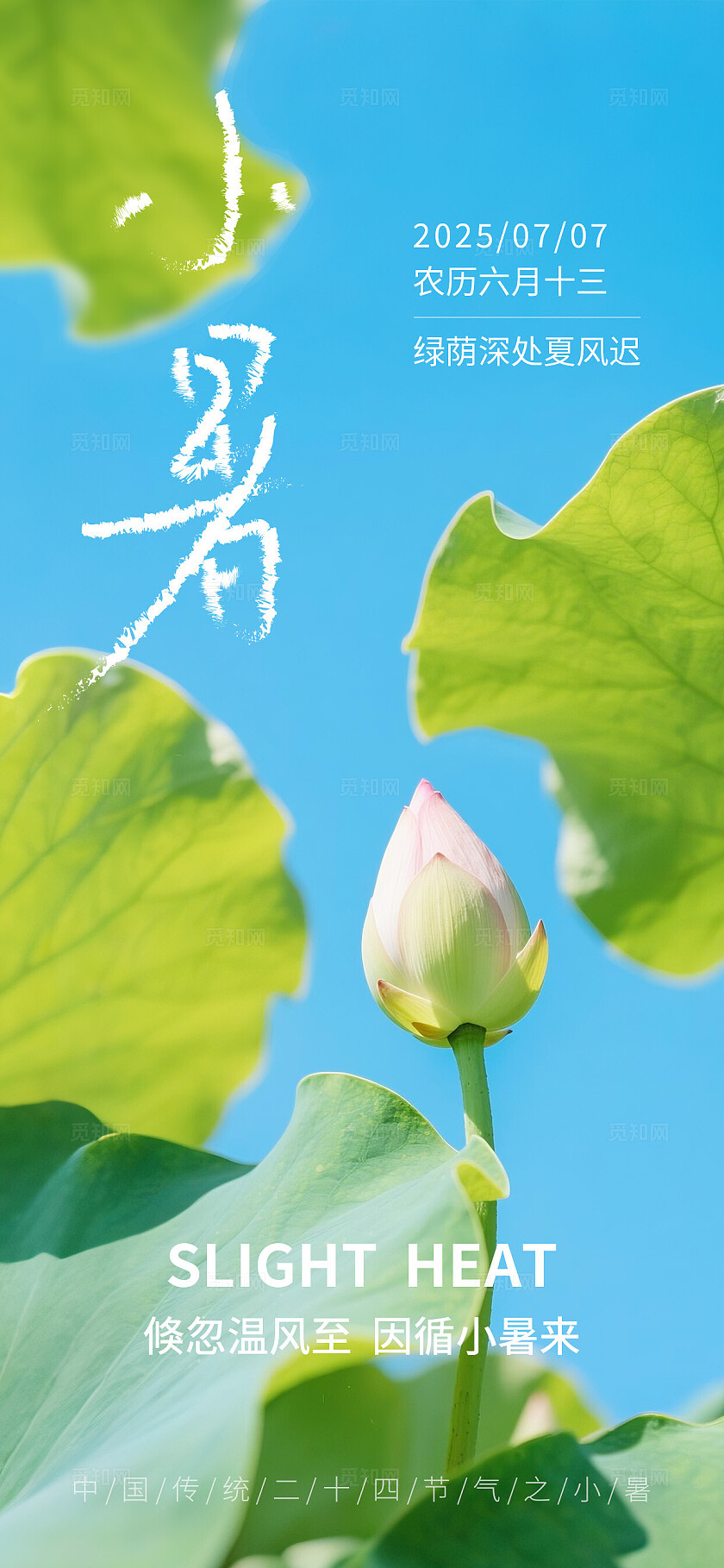 绿色自然风大暑小暑节气海报