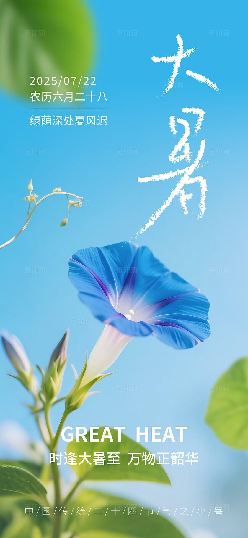 绿色自然风大暑小暑节气海报