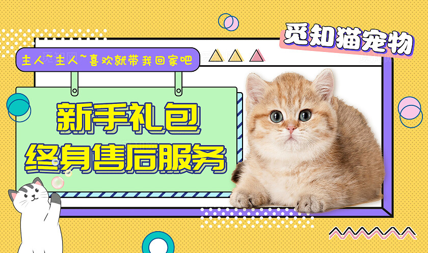 蓝色简约宠物轮播图常规