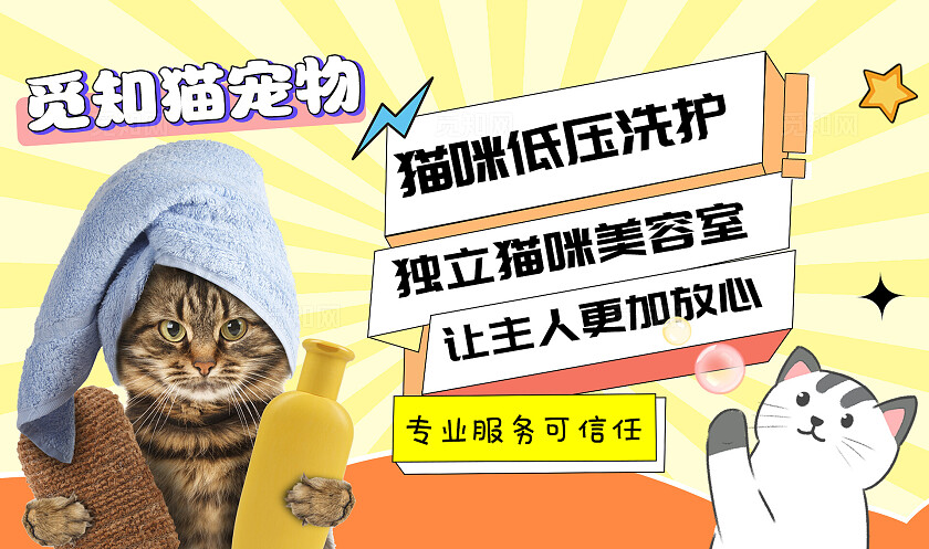 蓝色简约宠物轮播图常规