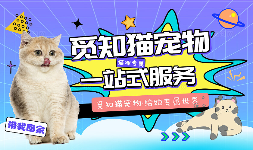 蓝色简约宠物轮播图常规