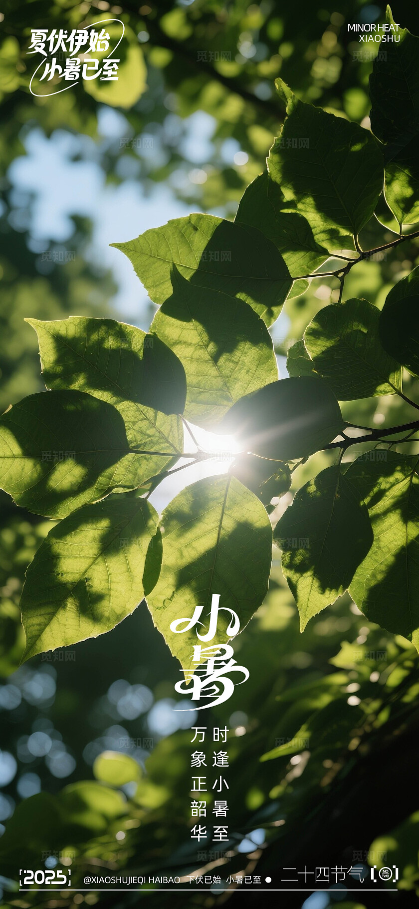 二十四节气小暑海报
