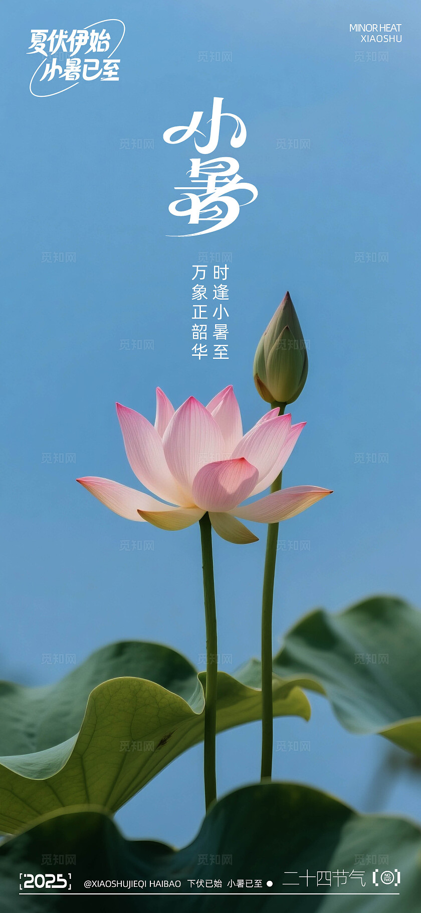 二十四节气小暑海报