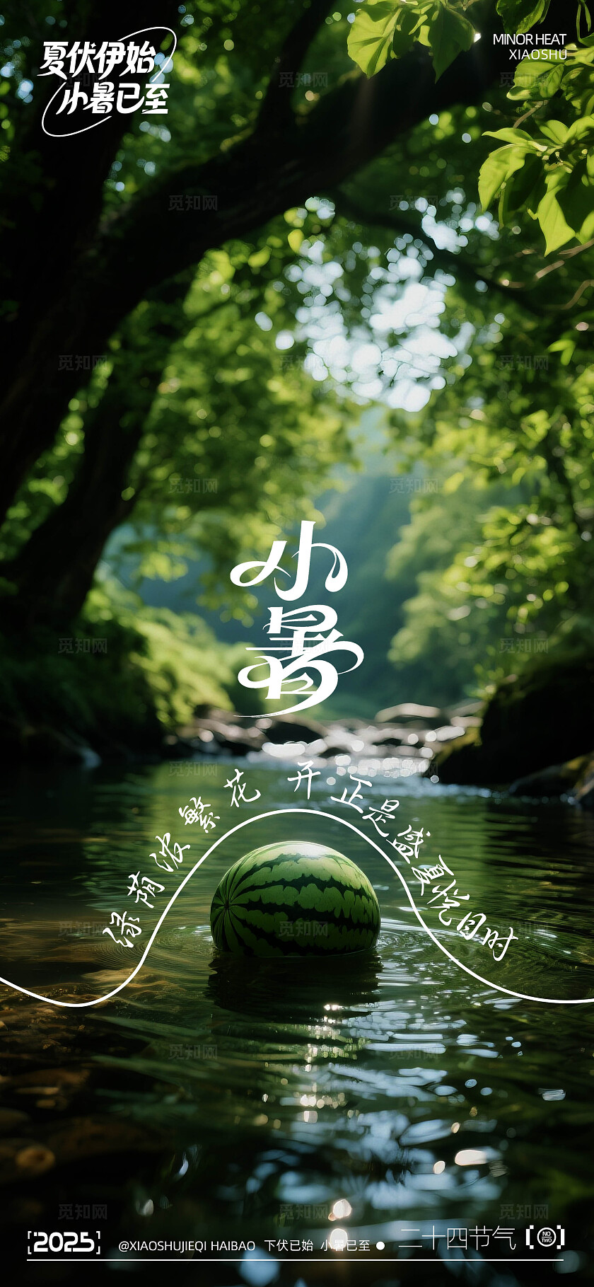 二十四节气小暑海报