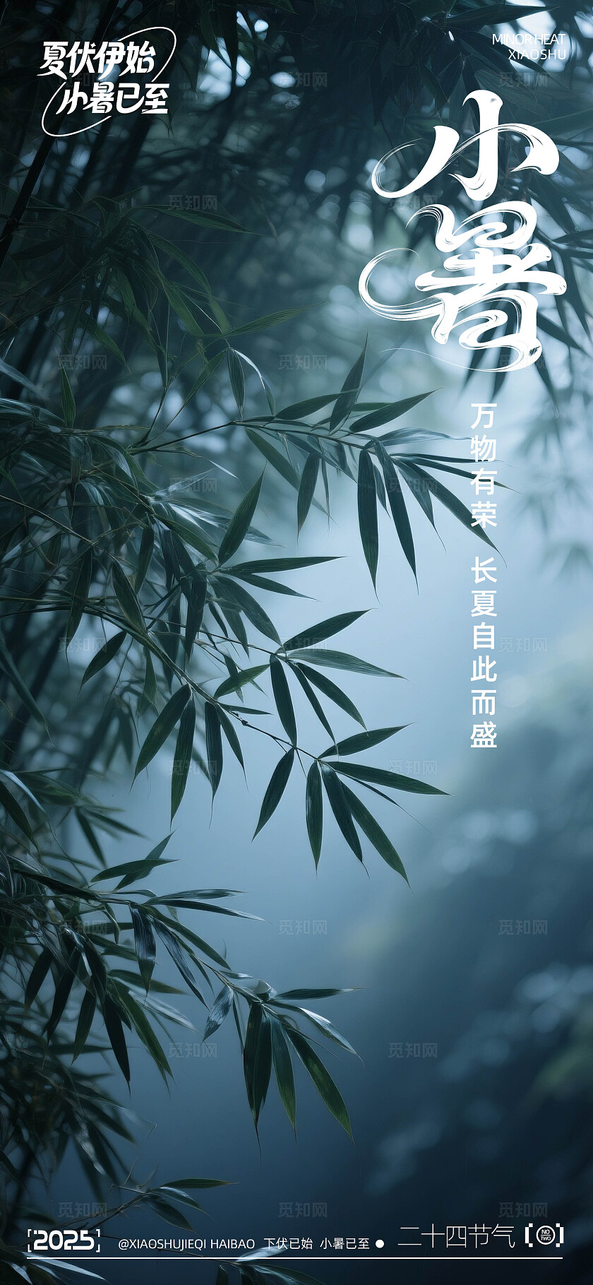 二十四节气小暑海报