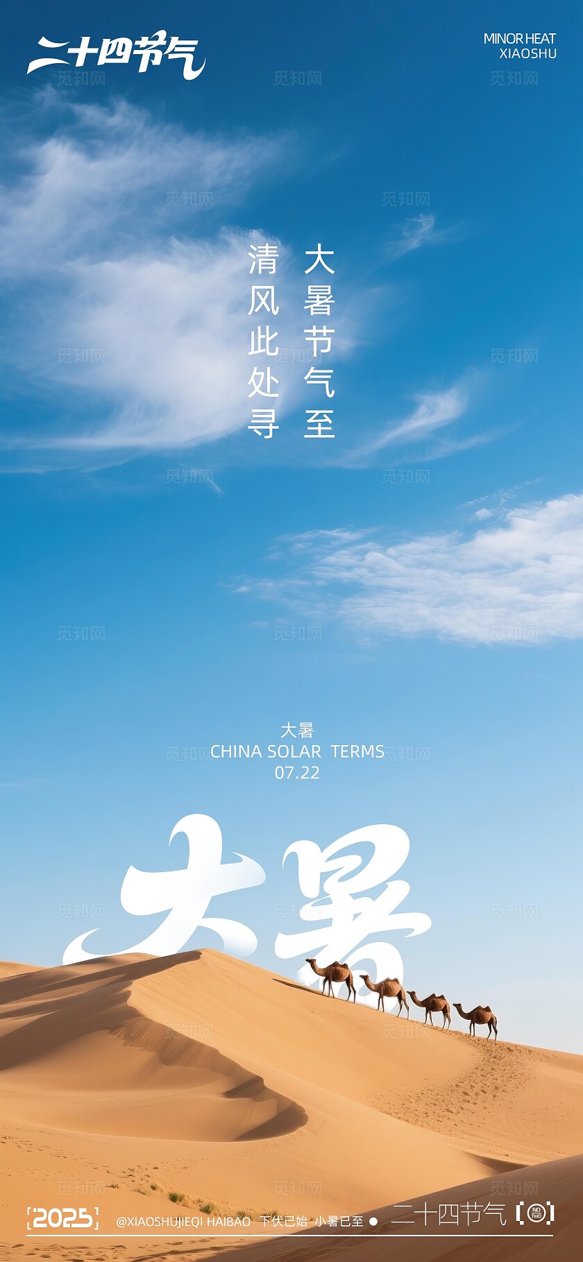 大暑节气摄影写实