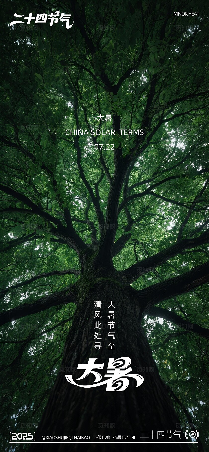 大暑节气摄影写实