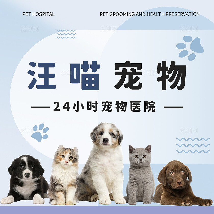 蓝色渐变简约风汪喵宠物医院电商美团大众点评轮播banner海报banner轮播图