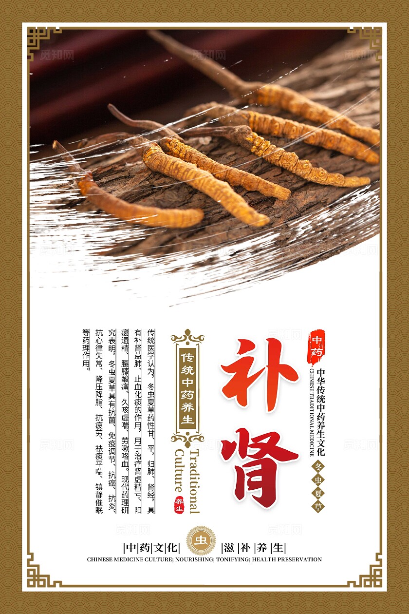金色大气中药文化冬虫夏草宣传套图