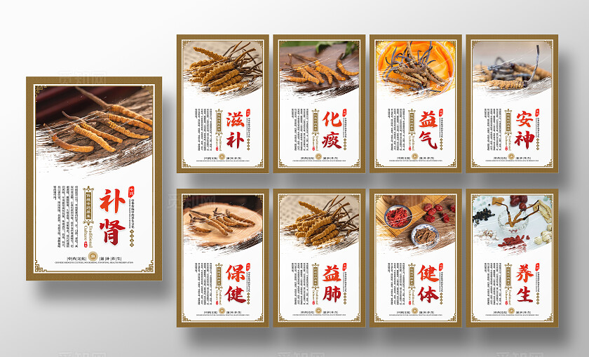 金色大气中药文化冬虫夏草宣传套图