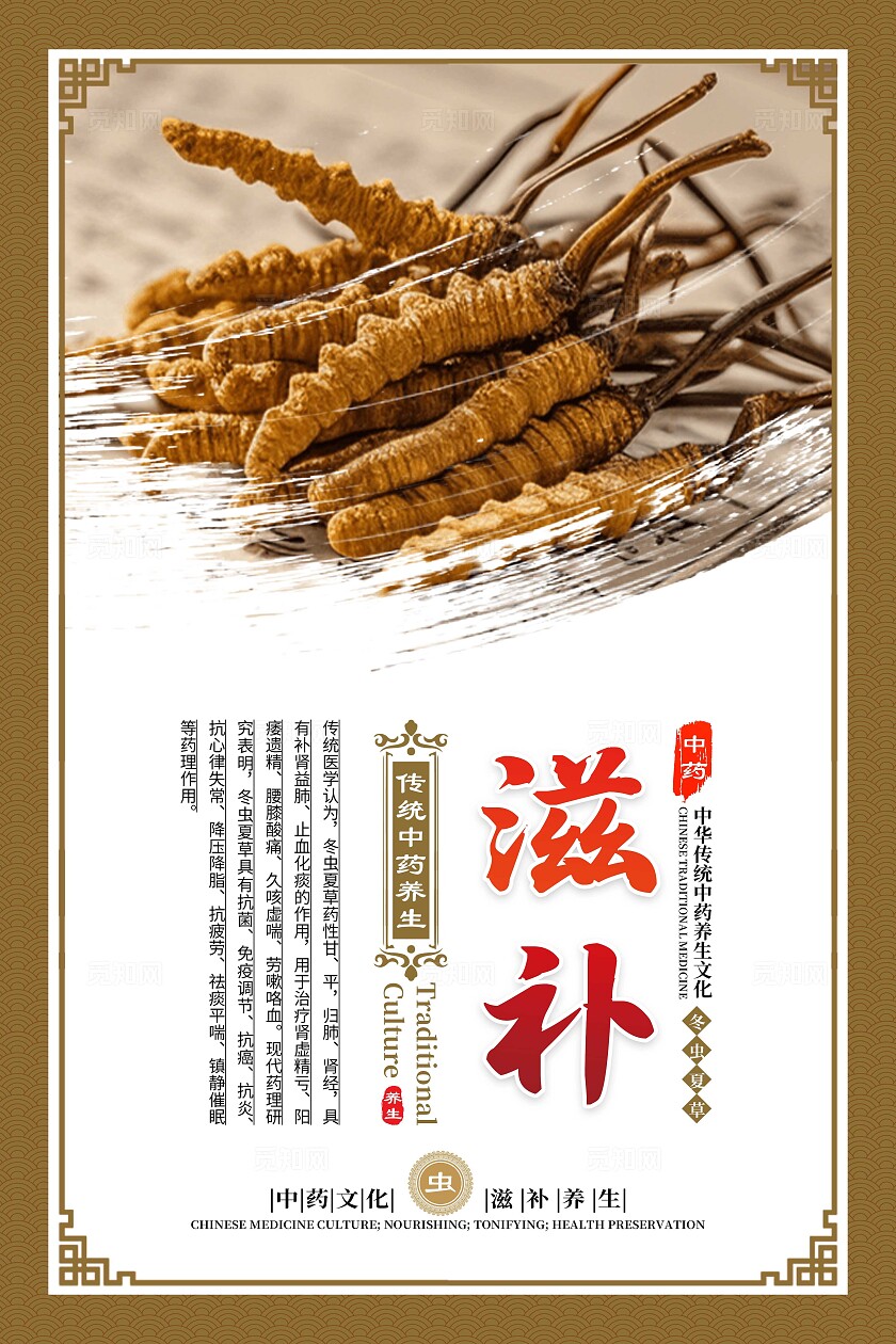 金色大气中药文化冬虫夏草宣传套图
