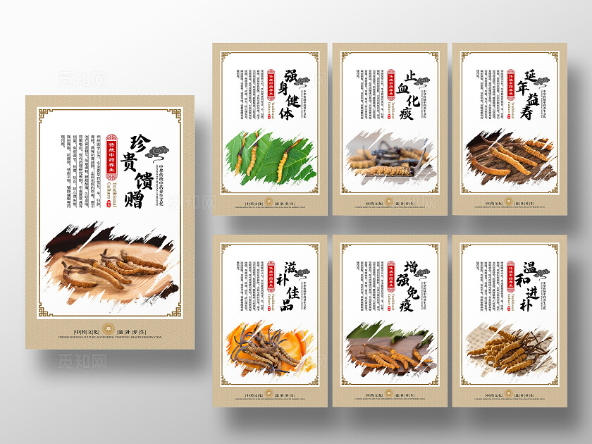 金色大气中药文化冬虫夏草宣传套图