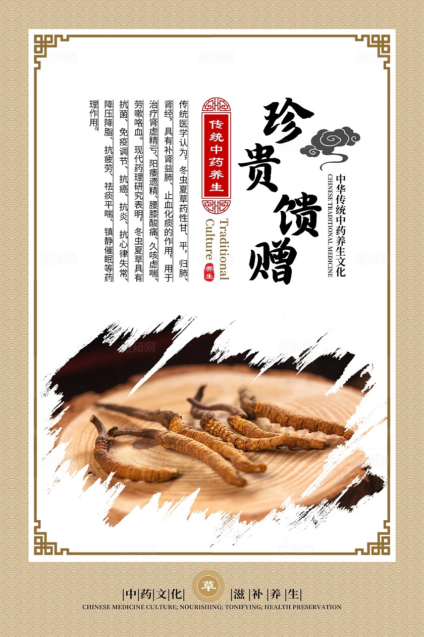 金色大气中药文化冬虫夏草宣传套图