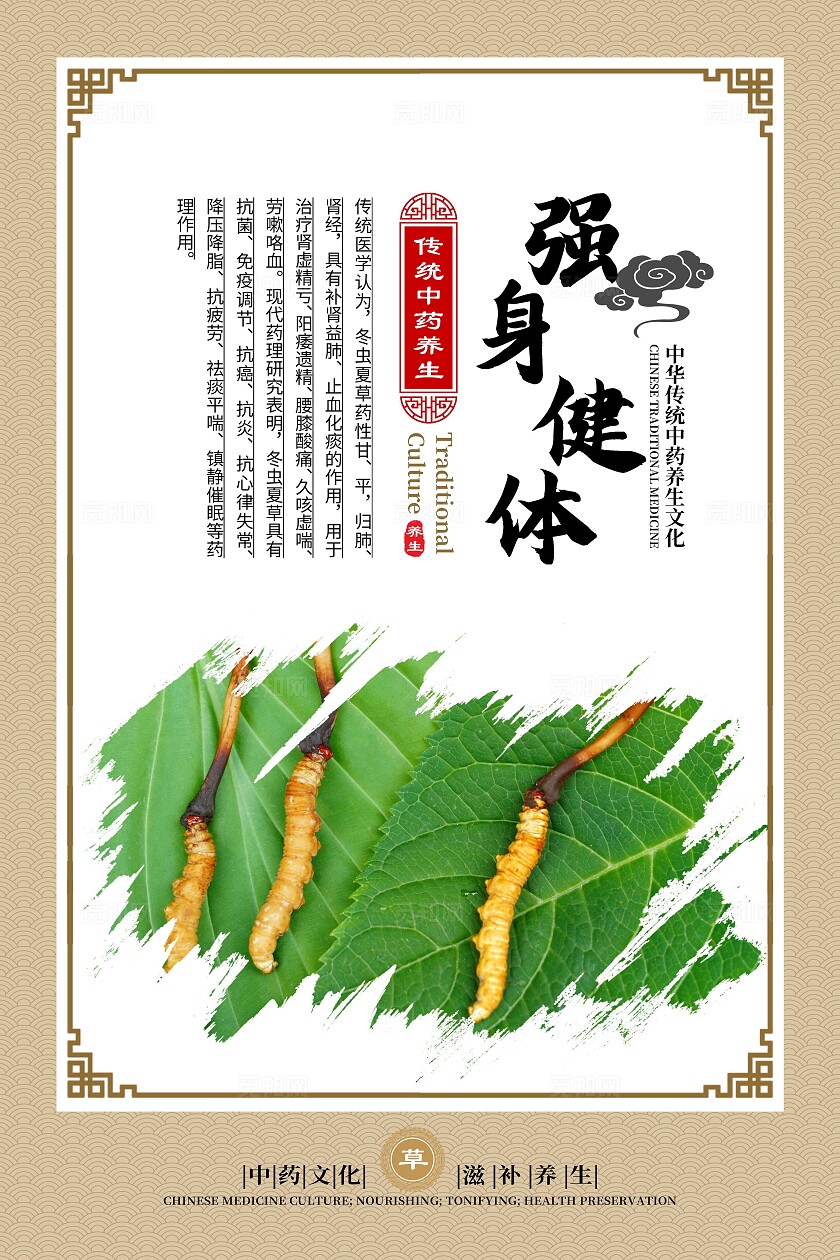 金色大气中药文化冬虫夏草宣传套图