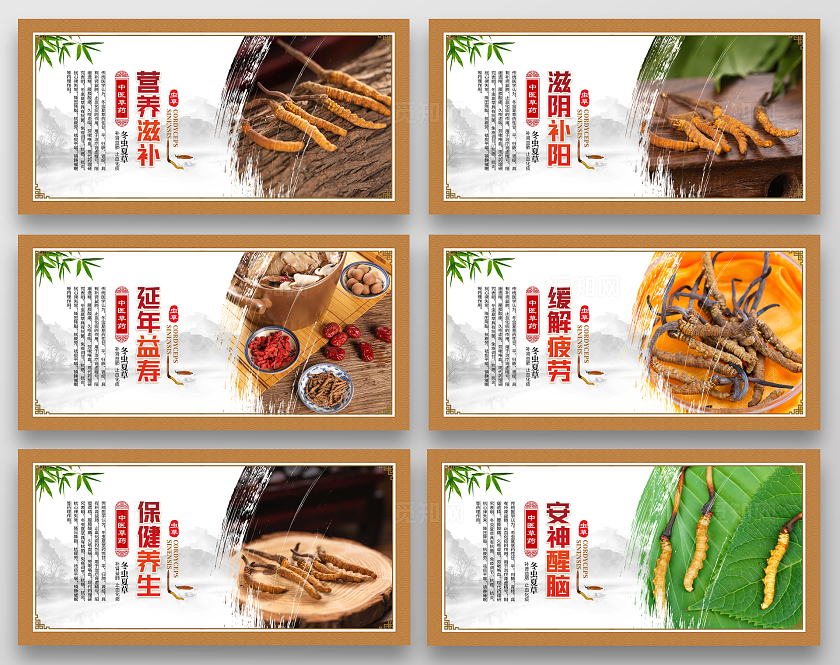 金色大气中药文化冬虫夏草宣传套图