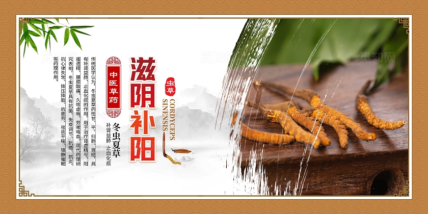 金色大气中药文化冬虫夏草宣传套图