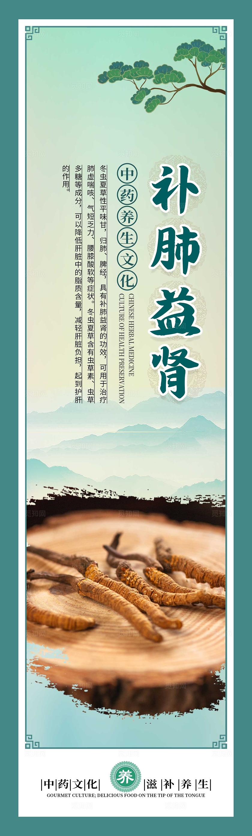 绿色大气中药文化冬虫夏草宣传套图