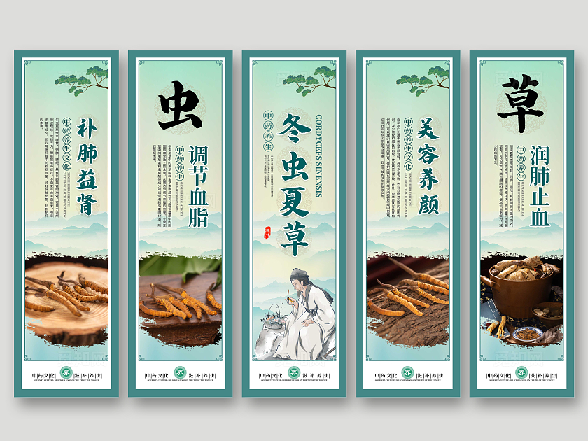 绿色大气中药文化冬虫夏草宣传套图