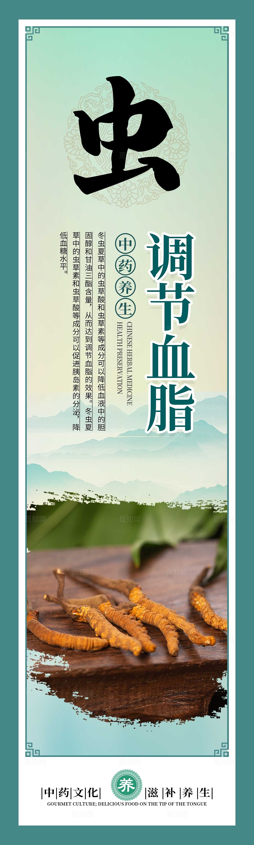 绿色大气中药文化冬虫夏草宣传套图