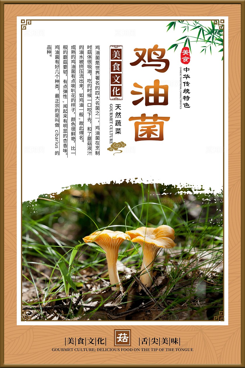 餐饮金色大气美食文化菌菇宣传套图