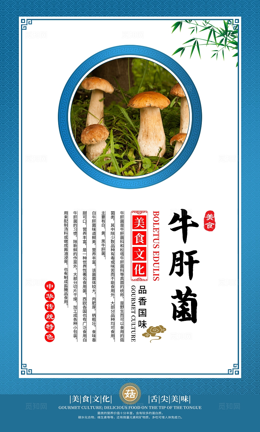 蓝色大气美食文化菌菇宣传套图