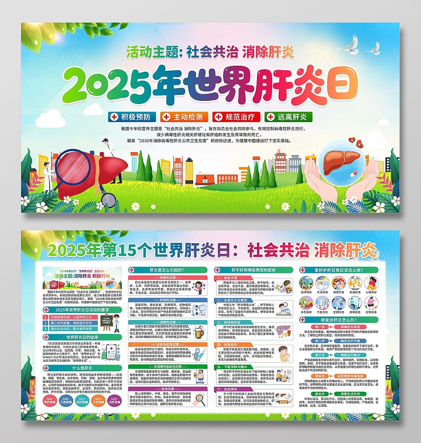 2025年世界肝炎日展板