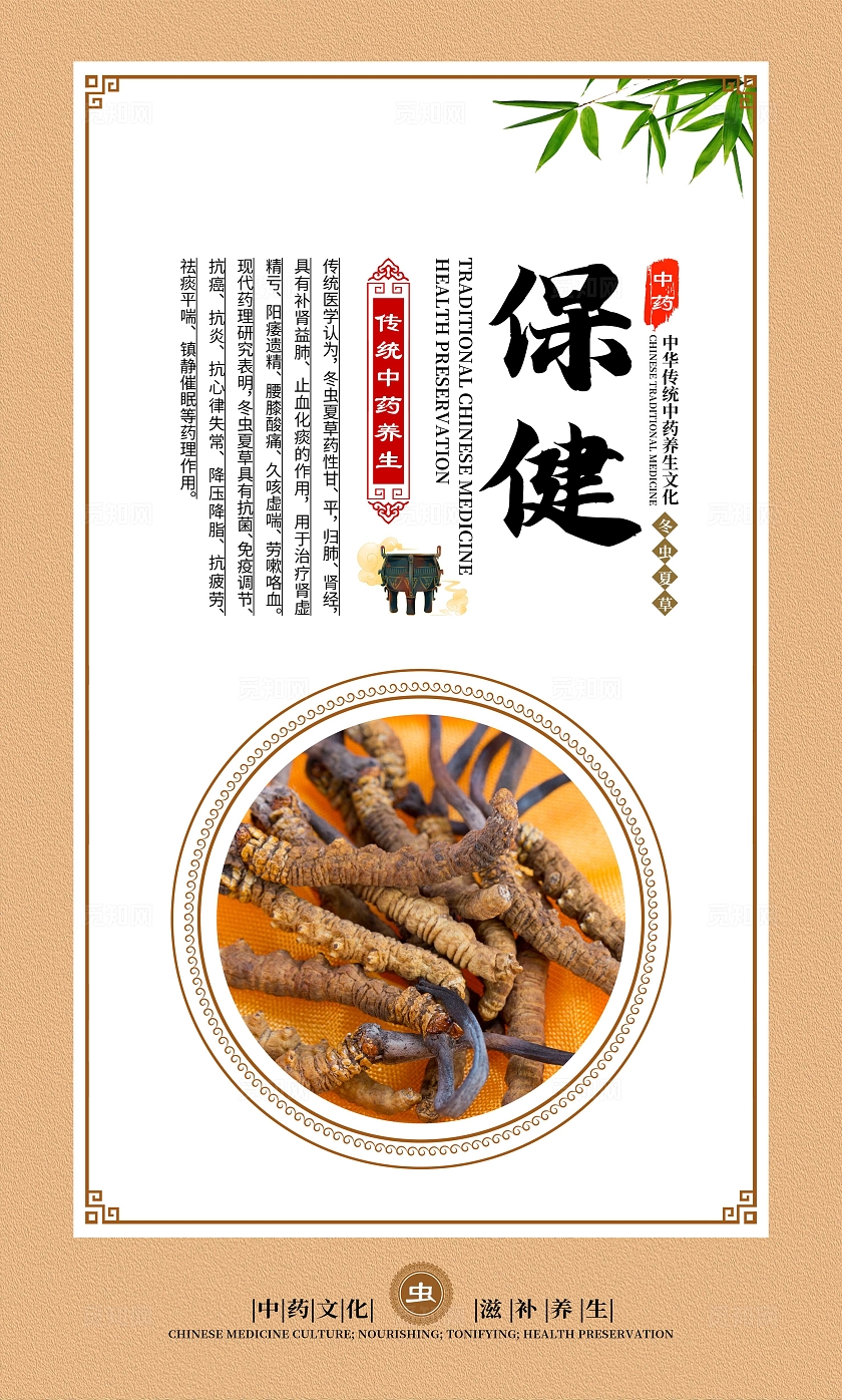 金色大气中药文化冬虫夏草宣传套图