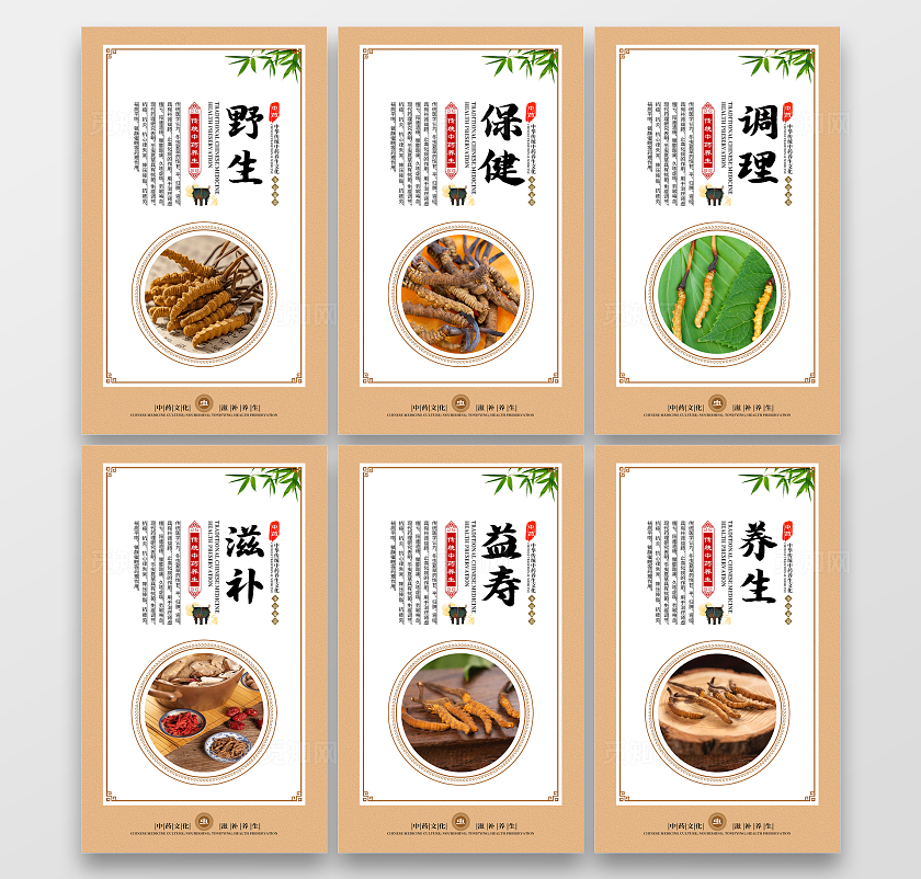 金色大气中药文化冬虫夏草宣传套图