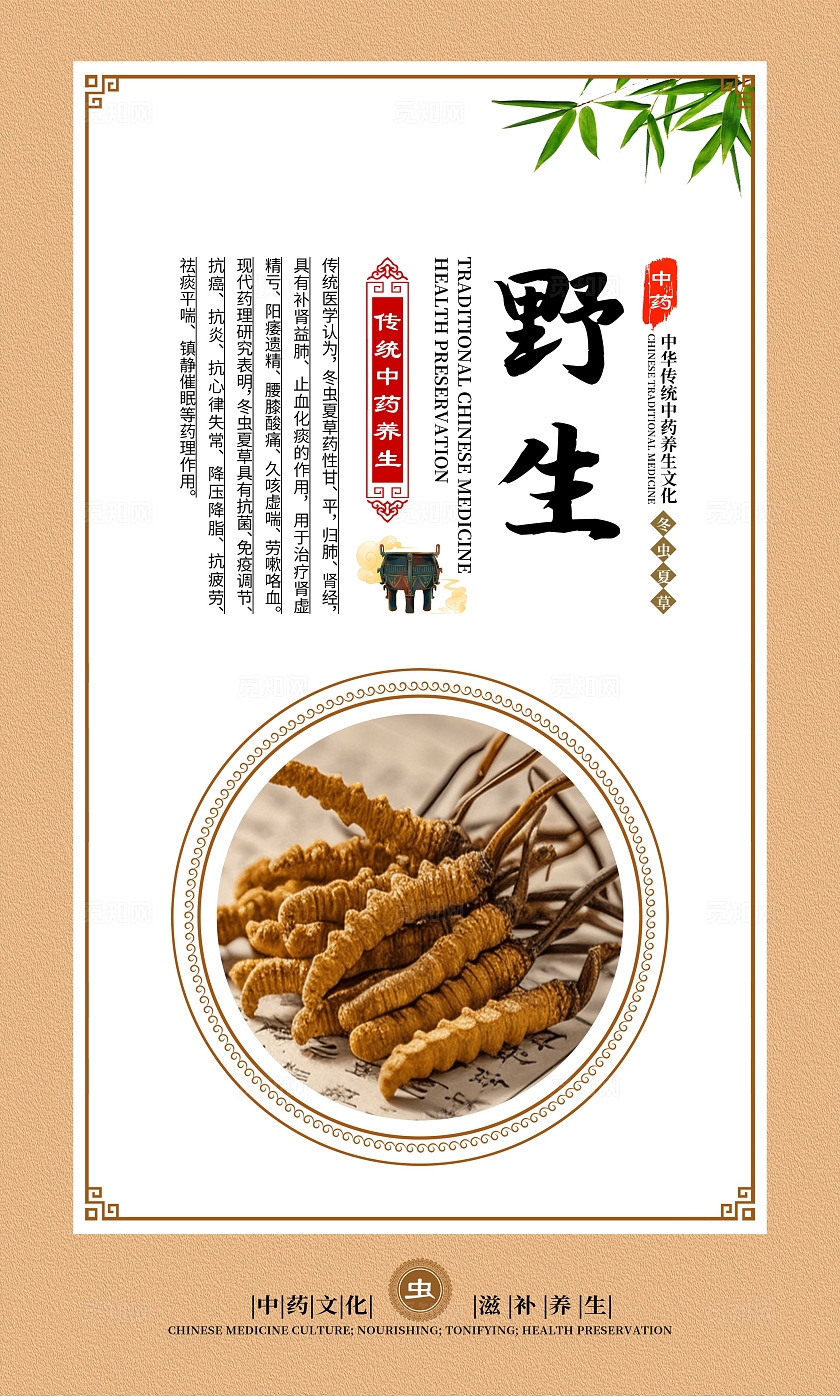 金色大气中药文化冬虫夏草宣传套图