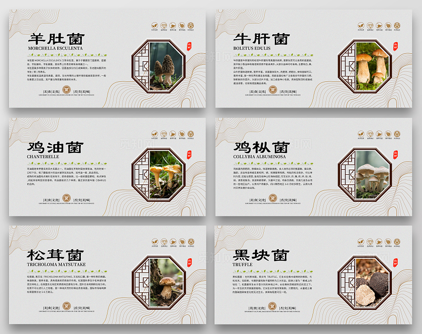 灰色大气美食文化菌菇宣传套图