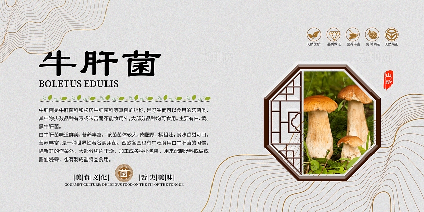 灰色大气美食文化菌菇宣传套图