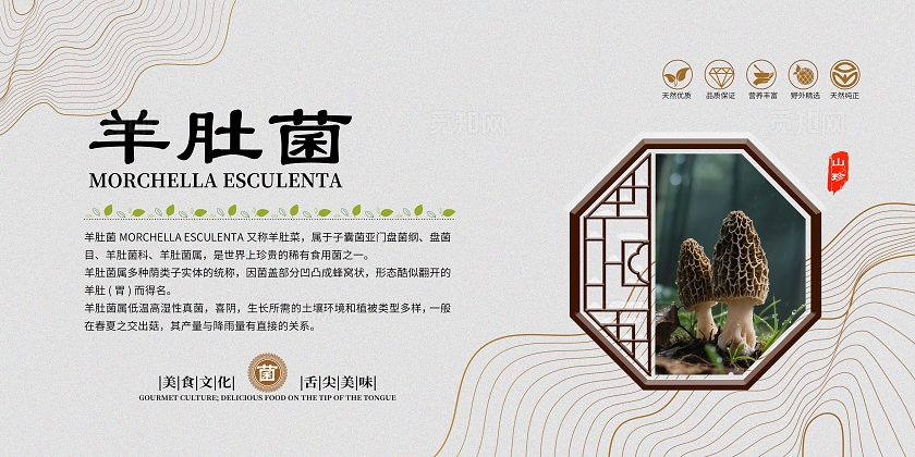 灰色大气美食文化菌菇宣传套图