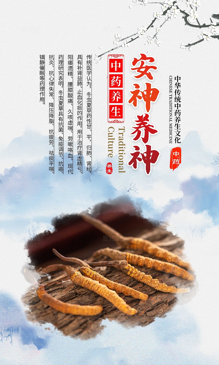 中国风中药文化冬虫夏草宣传套图