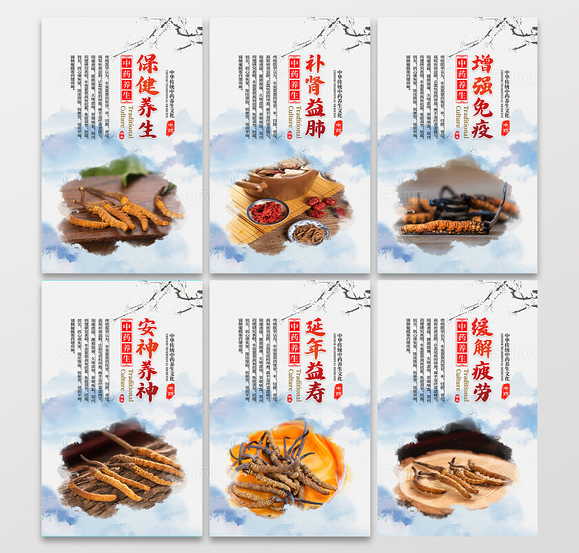 中国风中药文化冬虫夏草宣传套图