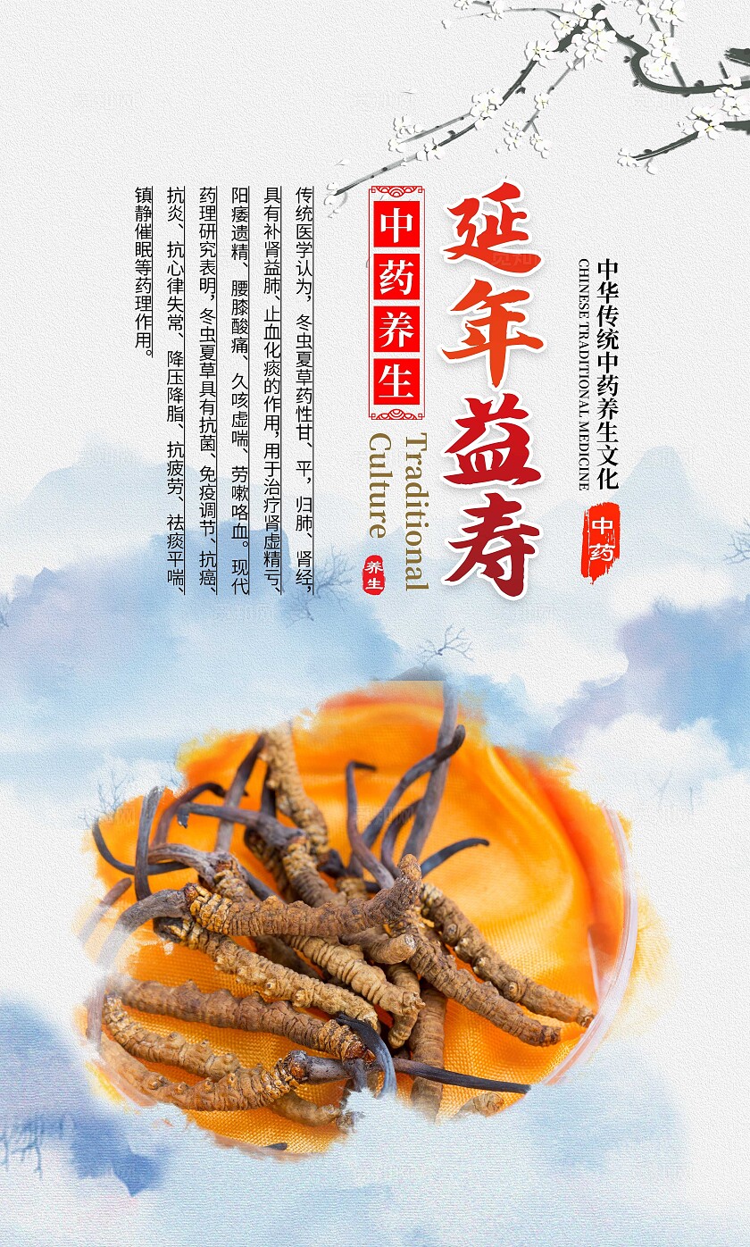 中国风中药文化冬虫夏草宣传套图