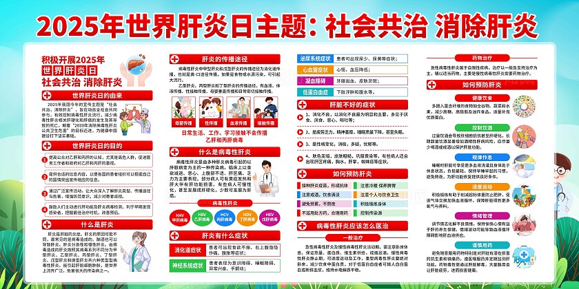 2025年世界肝炎日展板