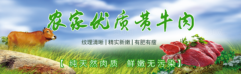 牛肉  正宗新鲜黄牛肉