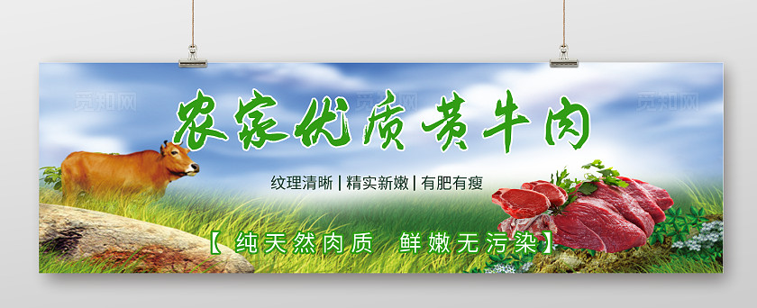 牛肉  正宗新鲜黄牛肉