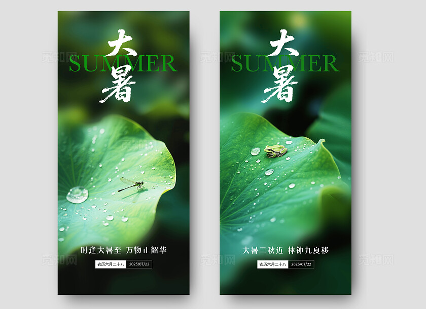 绿色大暑节气海报