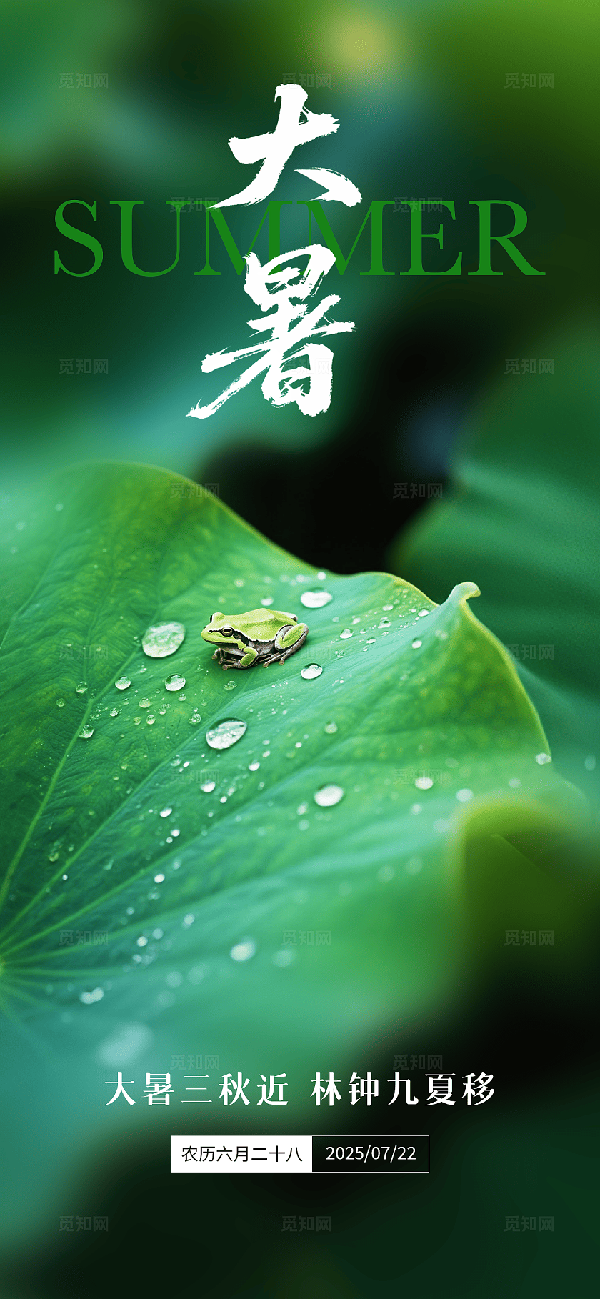 绿色大暑节气海报