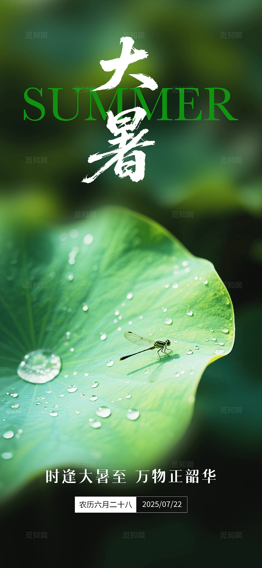 绿色大暑节气海报