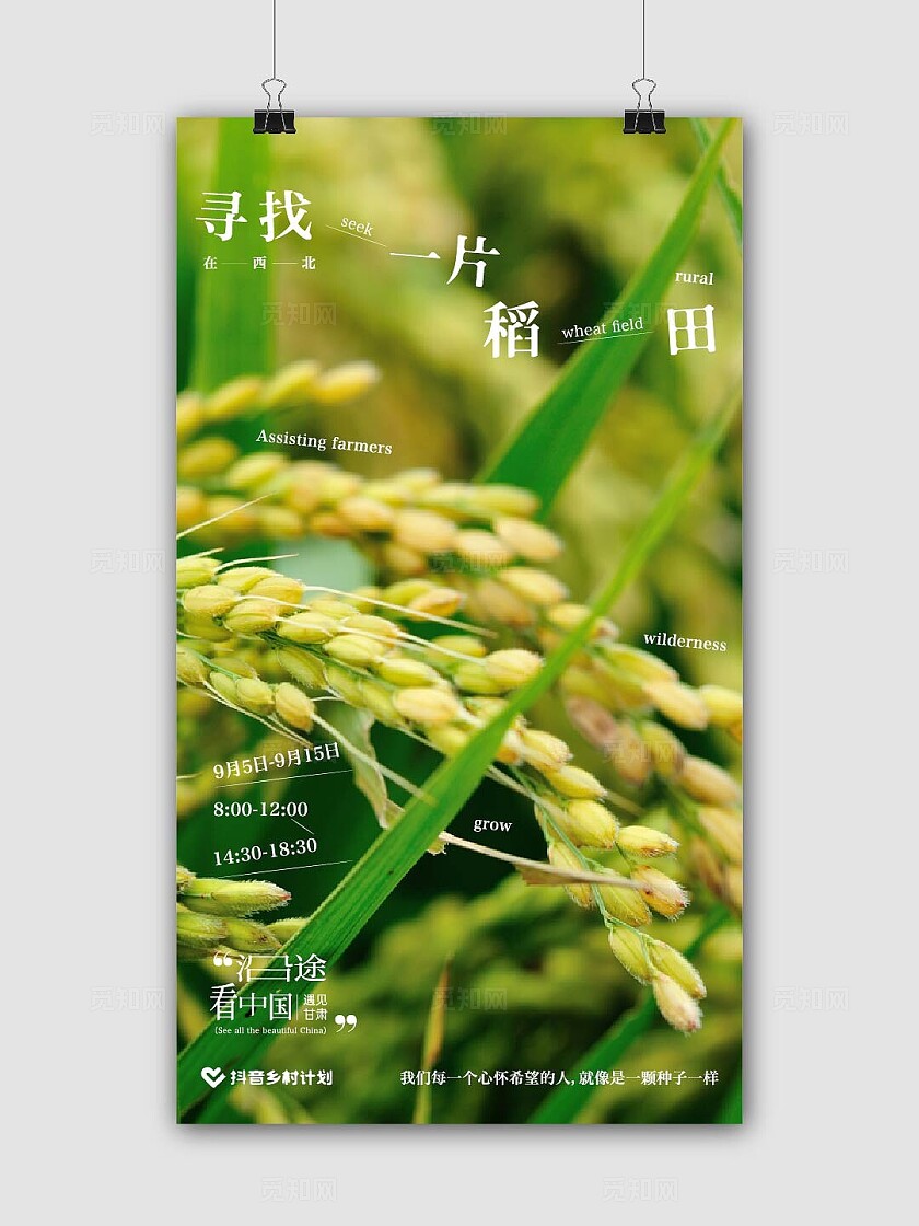 农作物水稻乡村振兴宣传海报