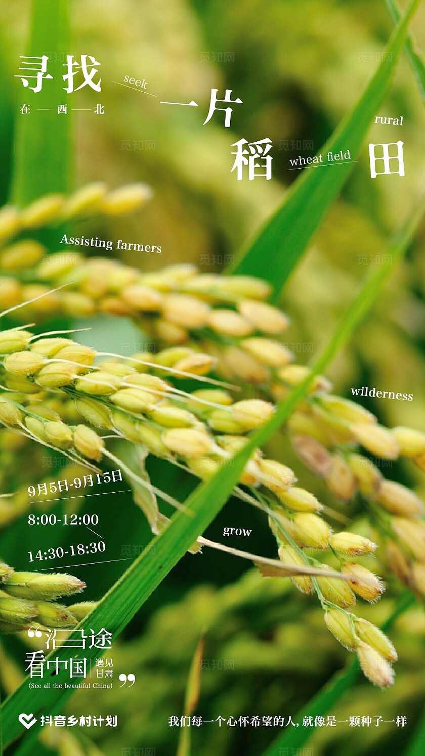 农作物水稻乡村振兴宣传海报