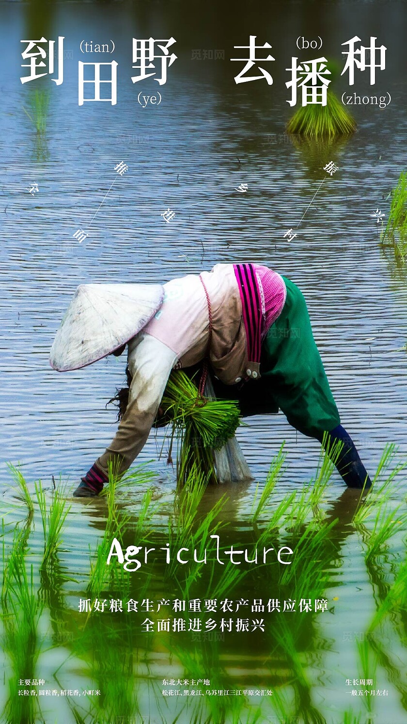 助农播种宣传海报