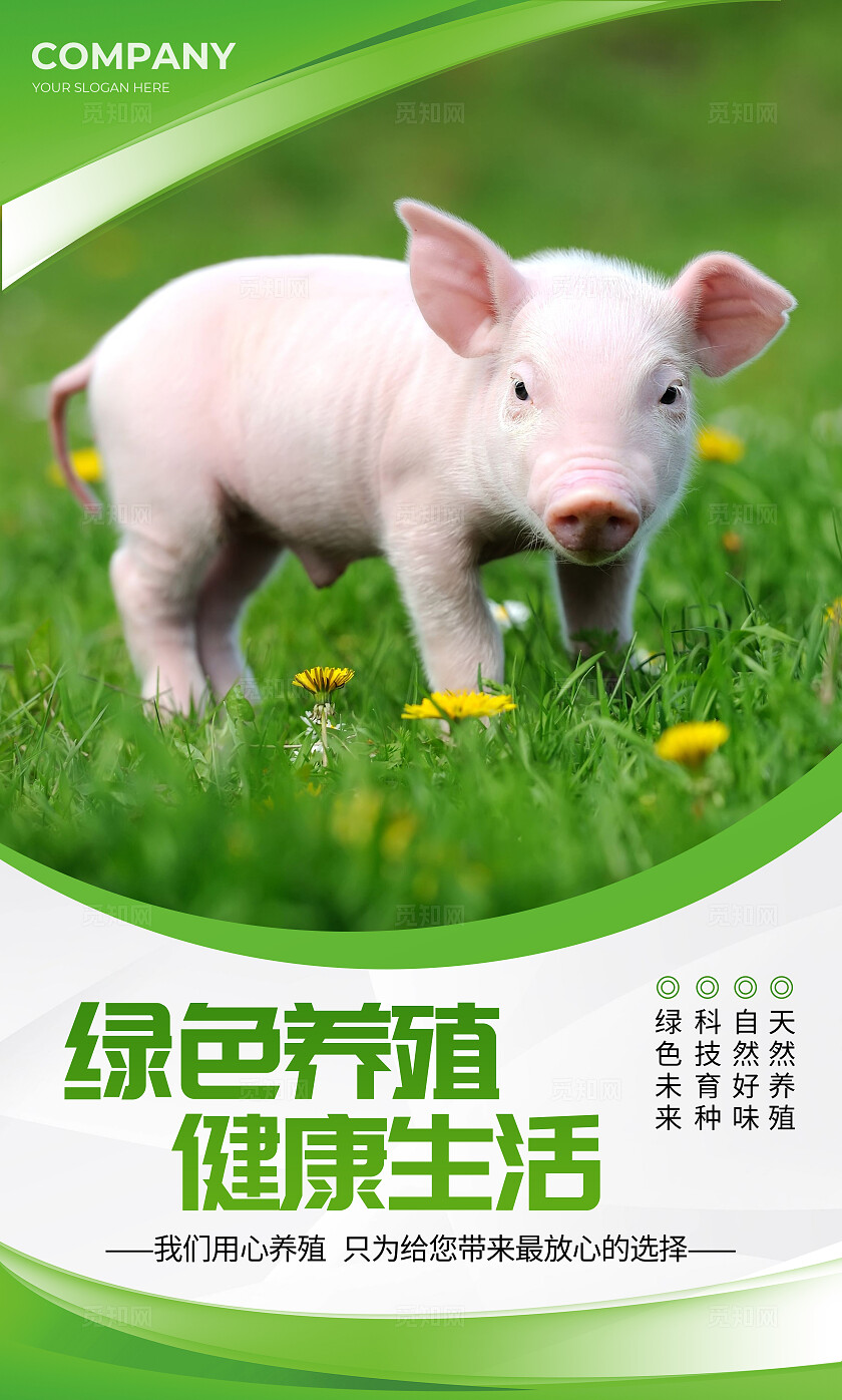 绿色简约养殖生态养殖绿色健康海报套图背景