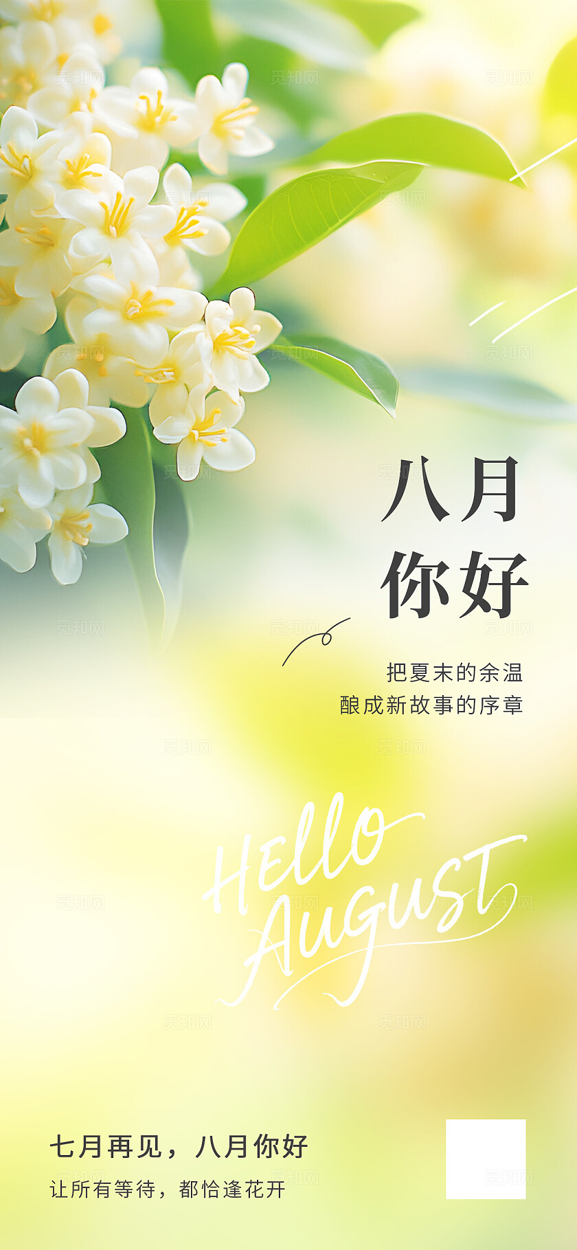八月你好创意海报