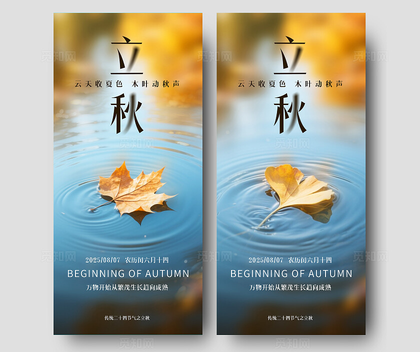 秋天的落叶梧桐树叶银杏叶立秋节气海报