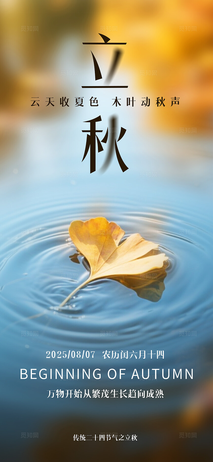 秋天的落叶梧桐树叶银杏叶立秋节气海报