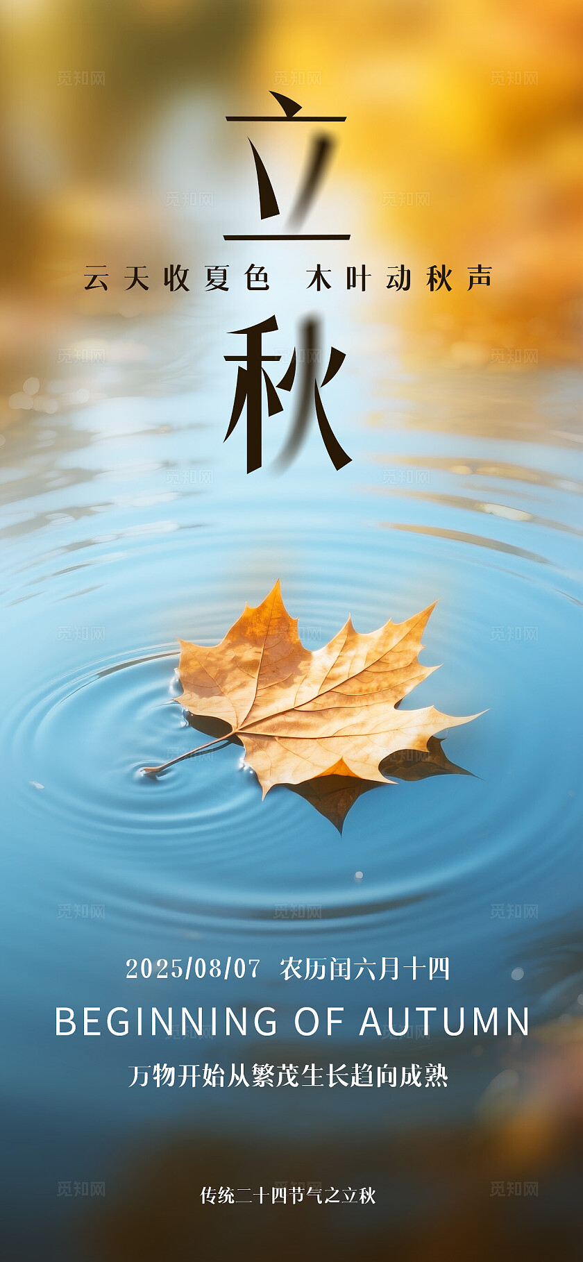 秋天的落叶梧桐树叶银杏叶立秋节气海报