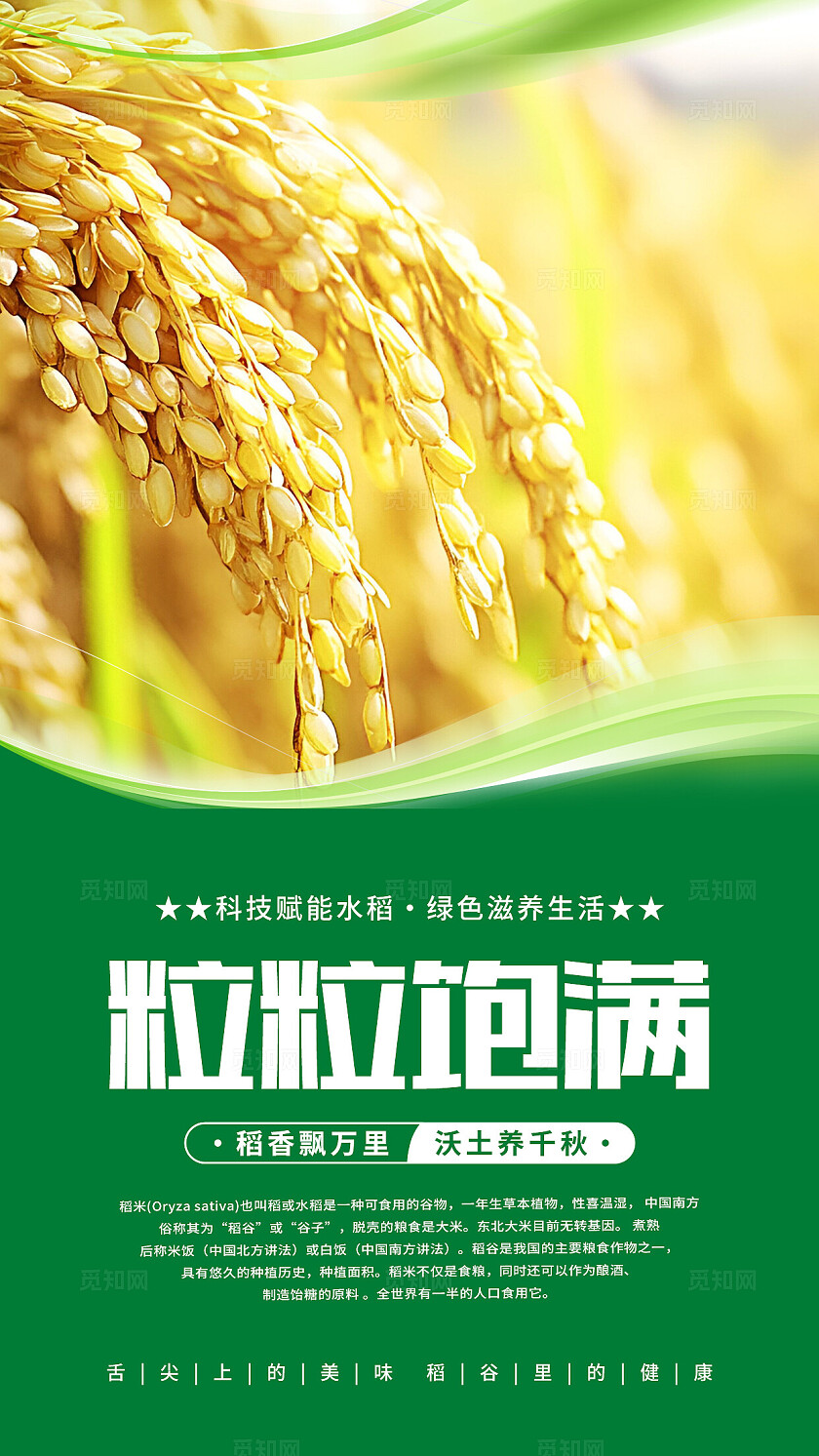 绿色清新水稻海报套图